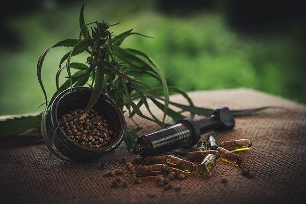 Commercialisation du CBD _tout ce qu’il faut savoir